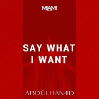 Abdülhamid — Say What I Want — обложка